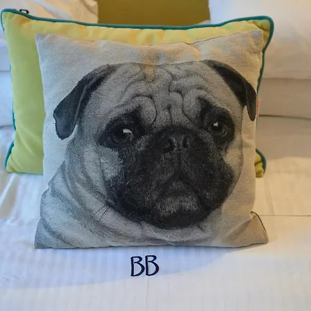 Blue Bottle Boutique